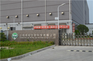 雪榕1.jpg