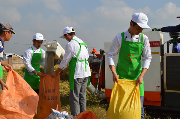 DSC_0121_副本.jpg