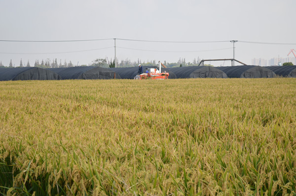 DSC_0120_副本.jpg