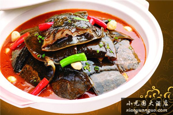 紅湯野生甲魚 拷貝.jpg